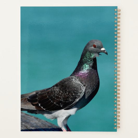 Rock Pigeon Planner (Achterkant)
