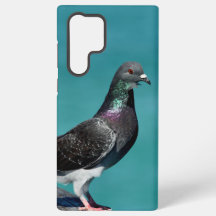 Rock Pigeon Samsung Telefoonhoesjes