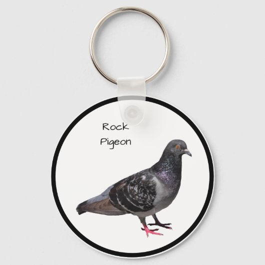 Rock Pigeon Sleutelhanger (Voorkant)