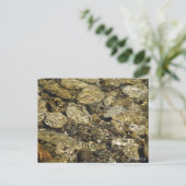 Rock Pool Natuur Collectie Briefkaart (Staand voorkant)