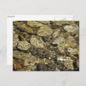 Rock Pool Natuur Collectie Briefkaart (Voorkant / Achterkant)