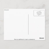 Rock Pool Natuur Collectie Briefkaart (Achterkant)