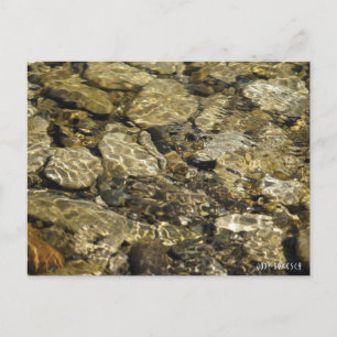 Rock Pool Natuur Collectie Briefkaart
