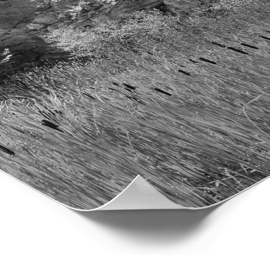 Rock Quarry Wall Cattails 2 zwart-wit Poster (Hoek)