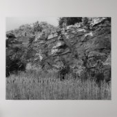 Rock Quarry Wall Cattails 2 zwart-wit Poster (Voorkant)