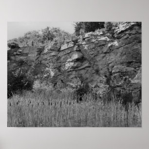 Rock Quarry Wall Cattails 2 zwart-wit Poster