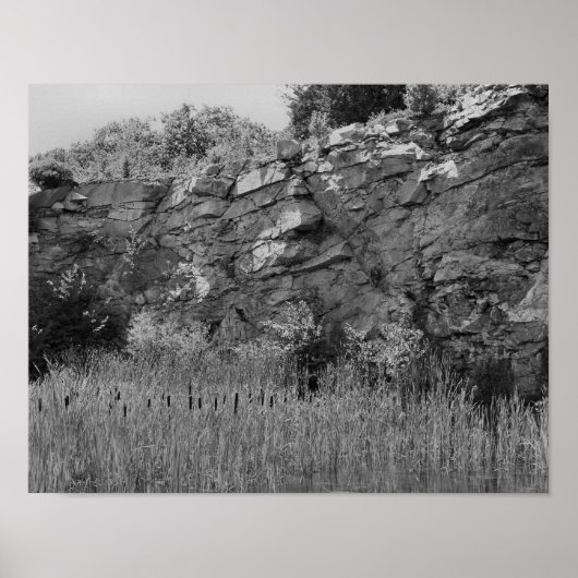 Rock Quarry Wall Cattails 2 zwart-wit Poster (Voorkant)
