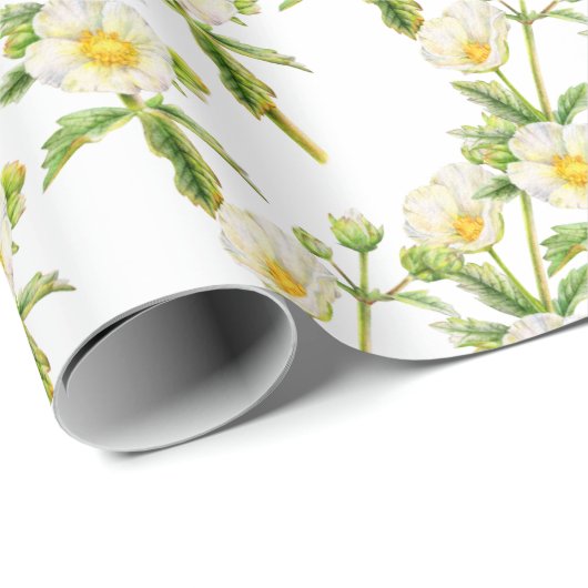 Rock roos kunst bloemenwitte groene wilde bloem cadeaupapier (Rol Hoek)