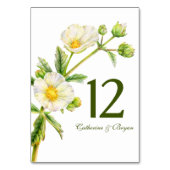Rock roos waterverf bloem bruiloft tafel nummer kaart (Voorkant)
