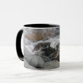 Rock Sandpiper (Calidris ptilocnemis) Mok (Voorkant links)
