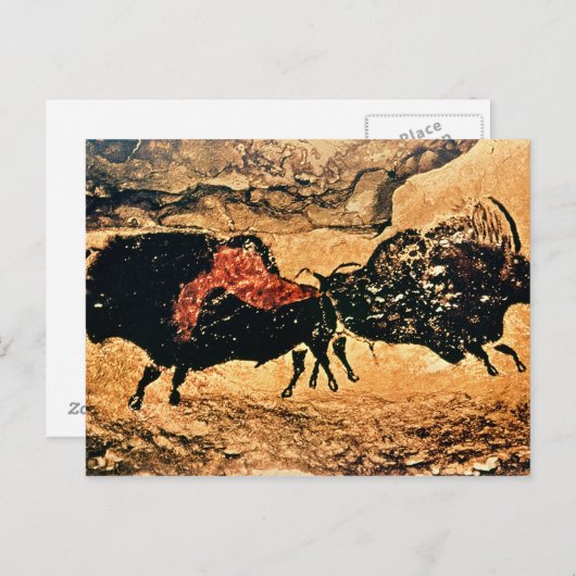 Rock-schilderij van bison, c.17000 BC Briefkaart (Voorkant / Achterkant)