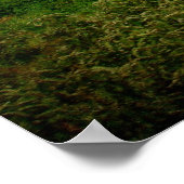 Rock Solid Barn Poster (Hoek)