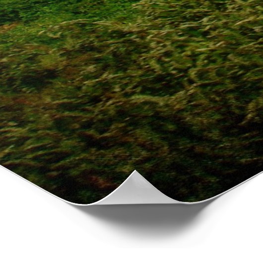 Rock Solid Barn Poster (Hoek)