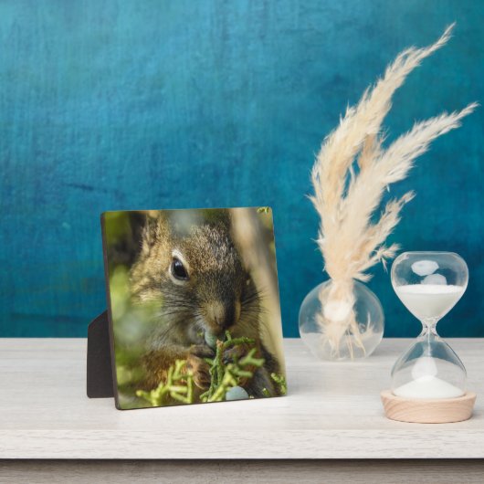 Rock Squirrel Desktop Plaque Fotoplaat (Insitu)