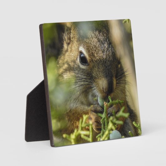 Rock Squirrel Desktop Plaque Fotoplaat (Voorkant)