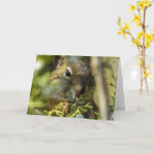 Rock Squirrel Notecard Kaart (Gele Bloem)