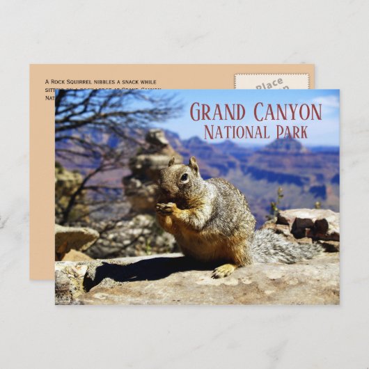 Rock Squirrel on Rock Nibbling Snack, Grand Canyon Briefkaart (Voorkant / Achterkant)