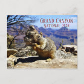 Rock Squirrel on Rock Nibbling Snack, Grand Canyon Briefkaart (Voorkant)
