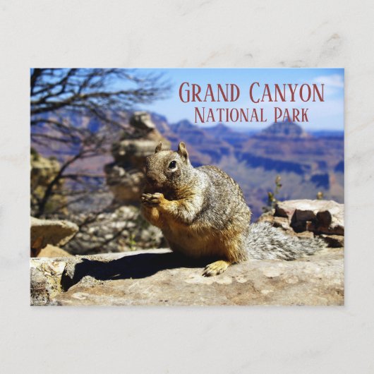 Rock Squirrel on Rock Nibbling Snack, Grand Canyon Briefkaart (Voorkant)