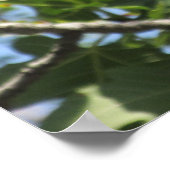 Rock Squirrel Poster (Hoek)