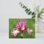 "Rock Star" Iris fotografie Briefkaart (Staand voorkant)