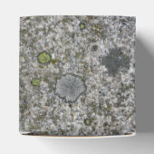 Rock Textuur Grijs Graniet met Mos any Text Bedankdoosjes (Bovenkant)