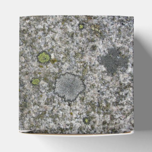 Rock Textuur Grijs Graniet met Mos any Text Bedankdoosjes (Bovenkant)