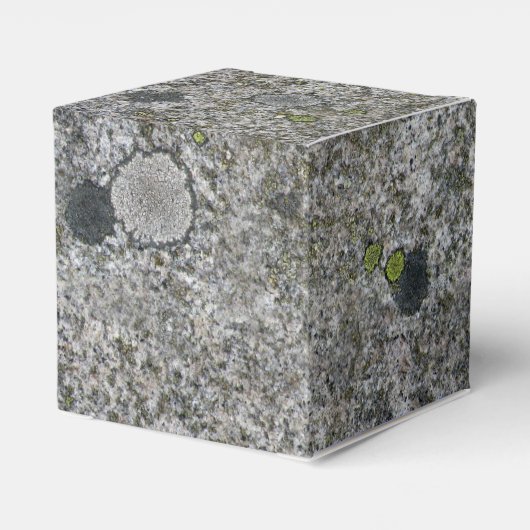 Rock Textuur Grijs Graniet met Mos any Text Bedankdoosjes (Achterkant)