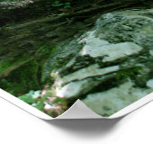 Rock & Tree by Johannes Stötter Poster (Hoek)