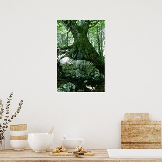 Rock & Tree by Johannes Stötter Poster (Keuken)