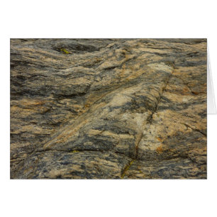Rock van Joshua Tree Abstracte Natuur Fotografie
