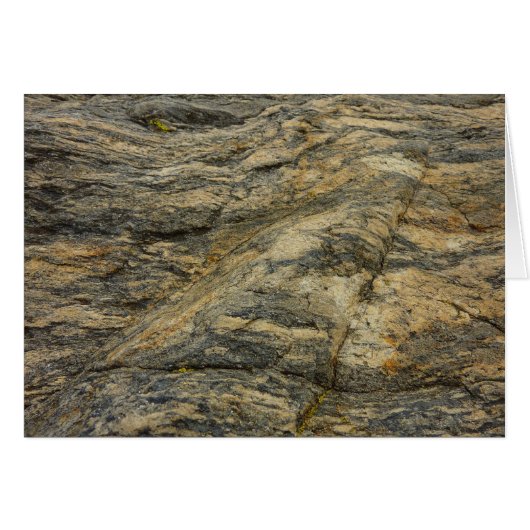 Rock van Joshua Tree Abstracte Natuur Fotografie (Voorkant Horizontaal)