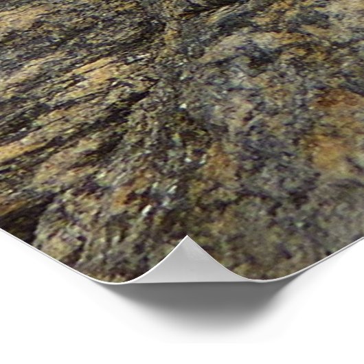 Rock van Joshua Tree Abstracte Natuur Fotografie Poster (Hoek)