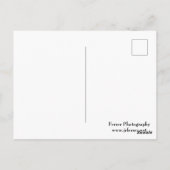 Rock Wall en Bossen bij Castle Mound Briefkaart (Achterkant)