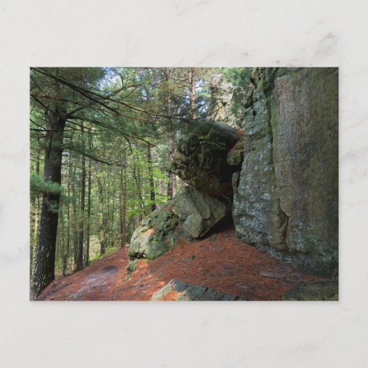 Rock Wall en Bossen bij Castle Mound Briefkaart (Voorkant)