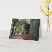 Rock Wall en Bossen bij Castle Mound Kaart (Gele Bloem)