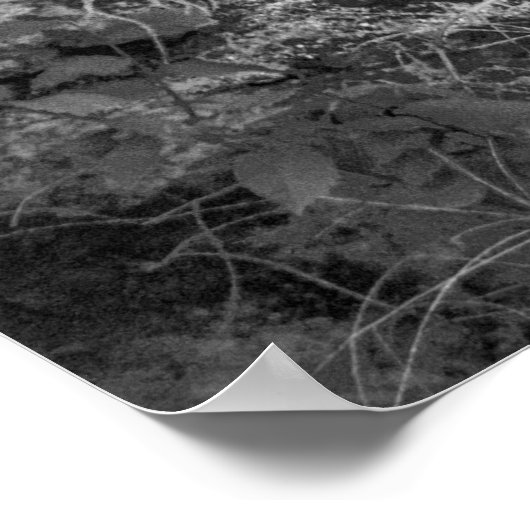 Rock Wall Poster (Hoek)