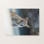 Rock Wallaby Joey Portrait – Australian Wildlife  Legpuzzel (Horizontaal)