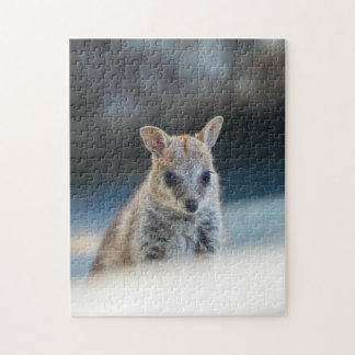 Rock Wallaby Joey Portrait – Australian Wildlife  Legpuzzel