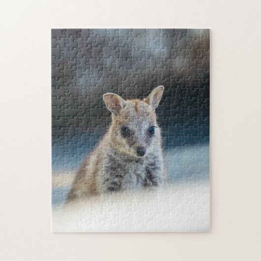 Rock Wallaby Joey Portrait – Australian Wildlife  Legpuzzel (Verticaal)