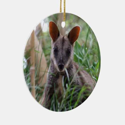 Rock Wallaby Ornament (Rechts)