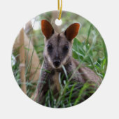 Rock Wallaby Ornament (Voorkant)