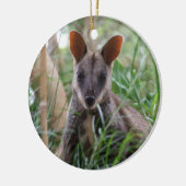 Rock Wallaby Ornament (Links)