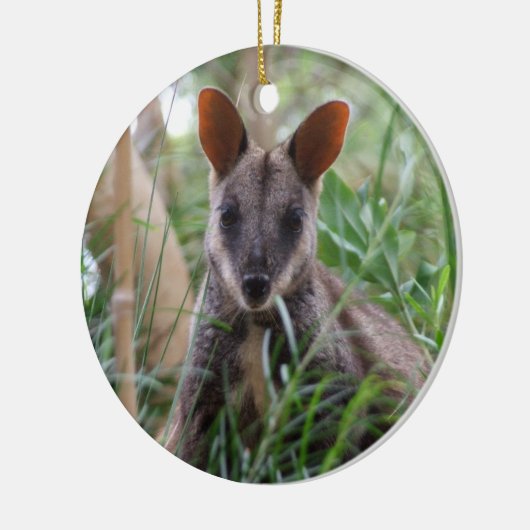 Rock Wallaby Ornament (Links)