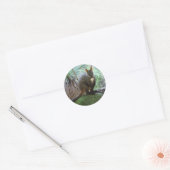 Rock Wallaby Sticker (Envelop)