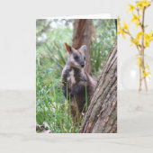 Rock Wallaby Wenskaart Kaart (Gele Bloem)