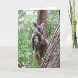Rock Wallaby Wenskaart Kaart