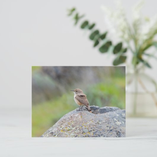 Rock Wren Briefkaart (Staand voorkant)