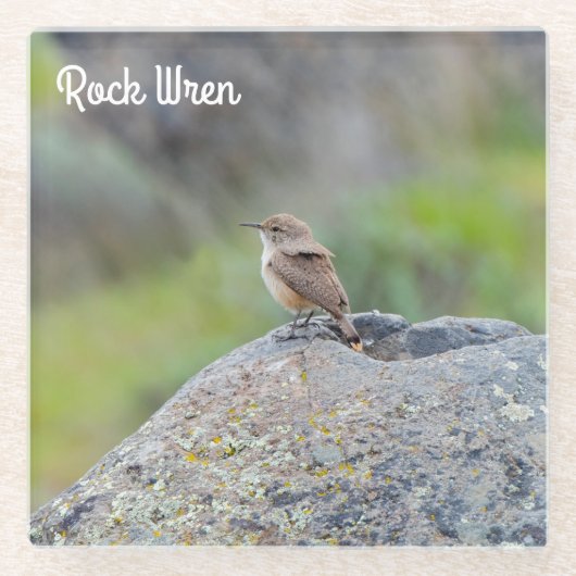 Rock Wren Glazen Onderzetter (Voorkant)