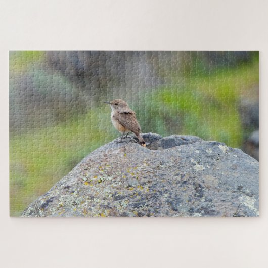 Rock Wren Legpuzzel (Horizontaal)